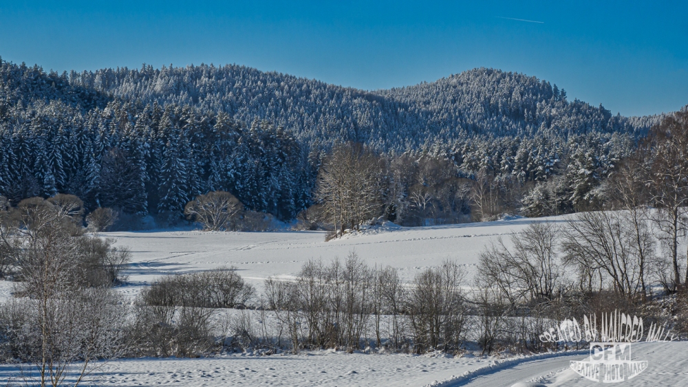 Winterlandschaft im Waldviertel Rappottensteinpa