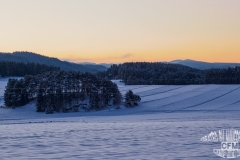 Winterlandschaft im Waldviertel Rappottenstein